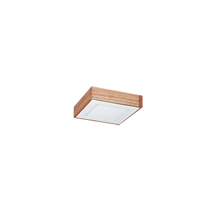 PANEL LED