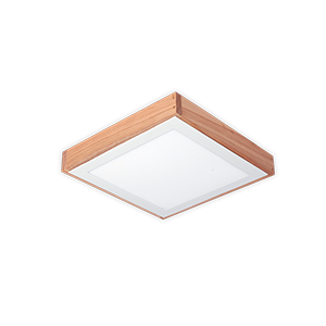 PANEL LED